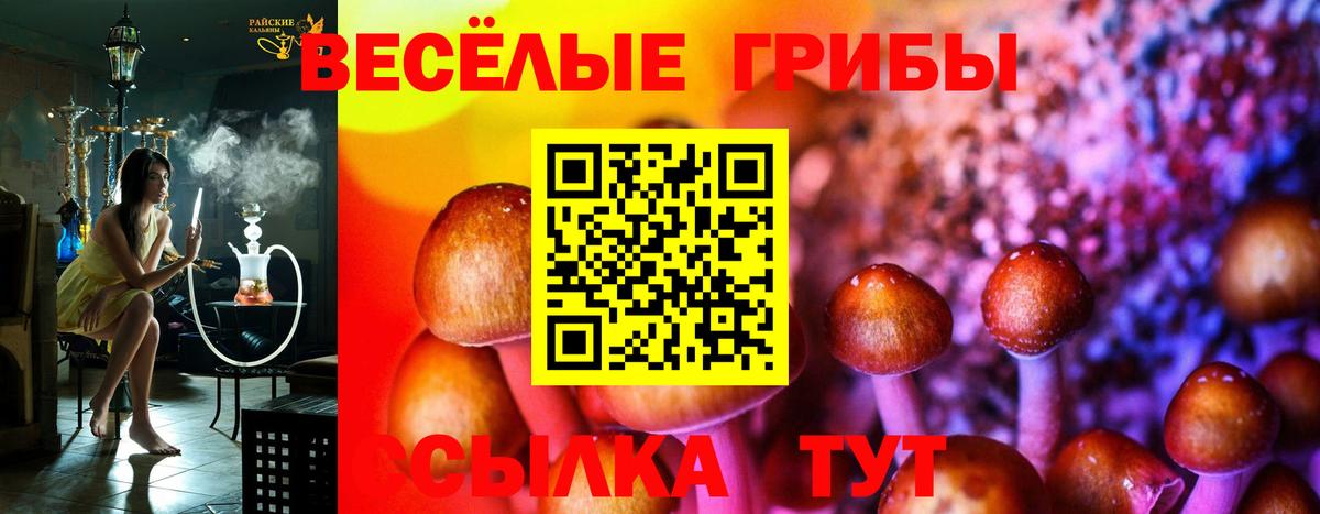 Галлюциногенные грибы MAGIC MUSHROOMS  Вход с VPN  Ульяновск  Псилоцибиновые грибы мицелий 